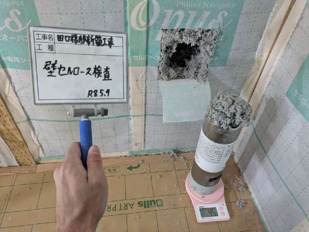 セルロース検査